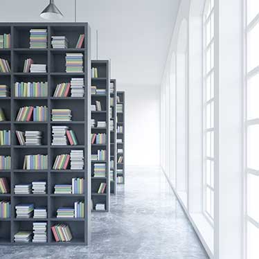Library services